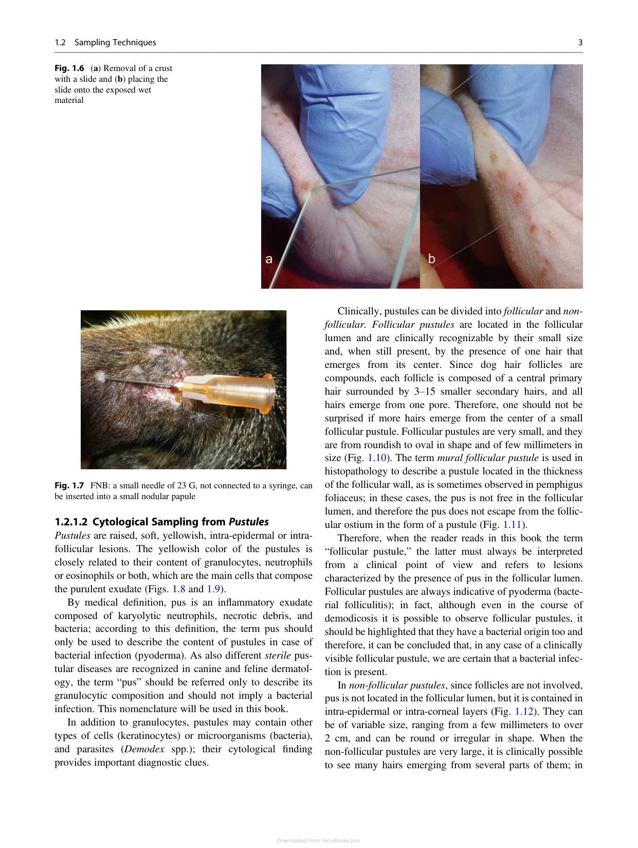 Canine And Feline Skin Cytology 2Nd Edition