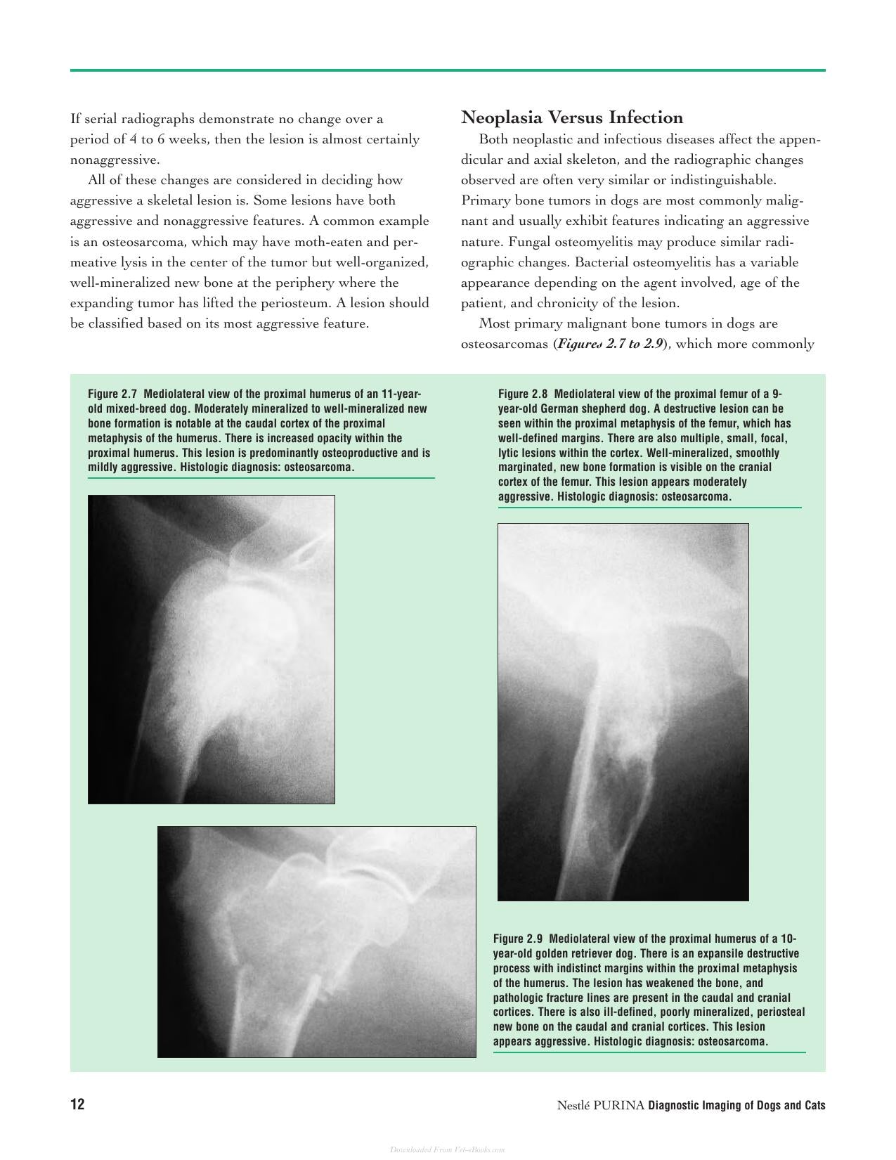 Diagnostic Imaging Of Dogs And Cats