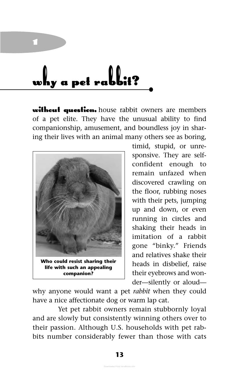 A House Rabbit Primer Understanding And Caring For Your Companion Rabbit