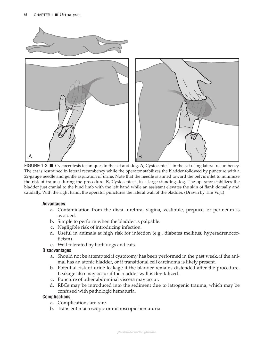 Canine And Feline Nephrology And Urology 2Nd Edition