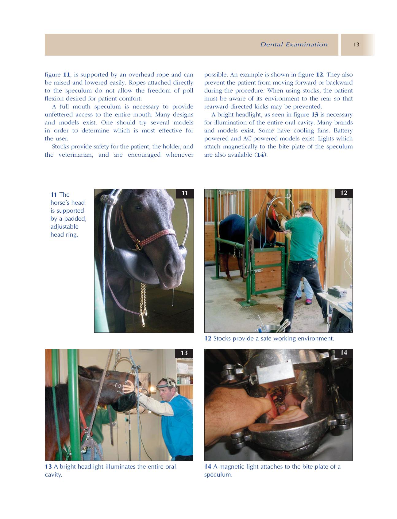 Principles Of Equine Dentistry