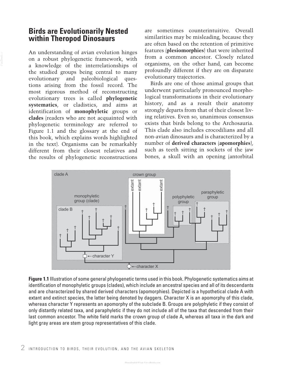 Avian Evolution The Fossil Record Of Birds And Its Paleobiological Significance