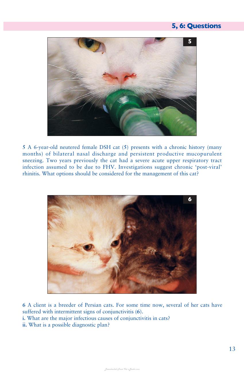 Look inside — page 14