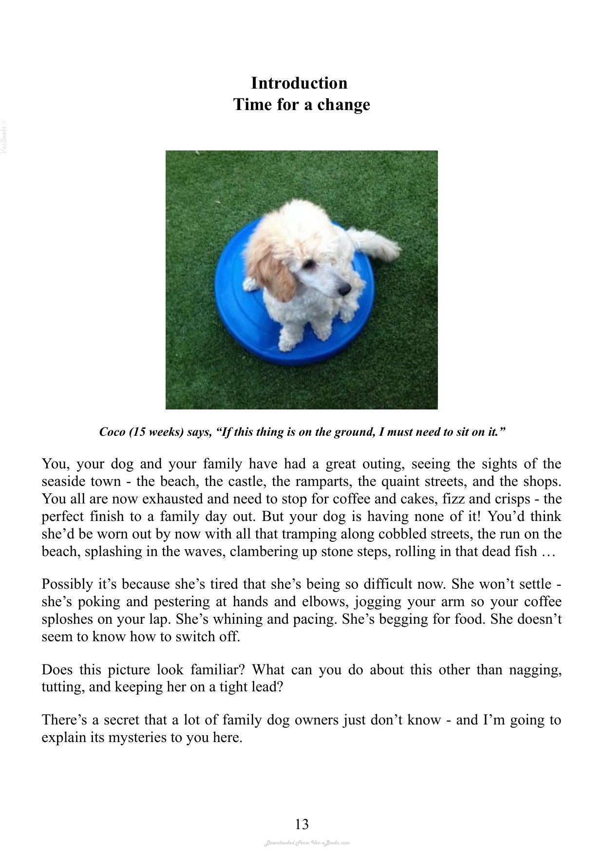 Essential Skills For A Brilliant Family Dog
