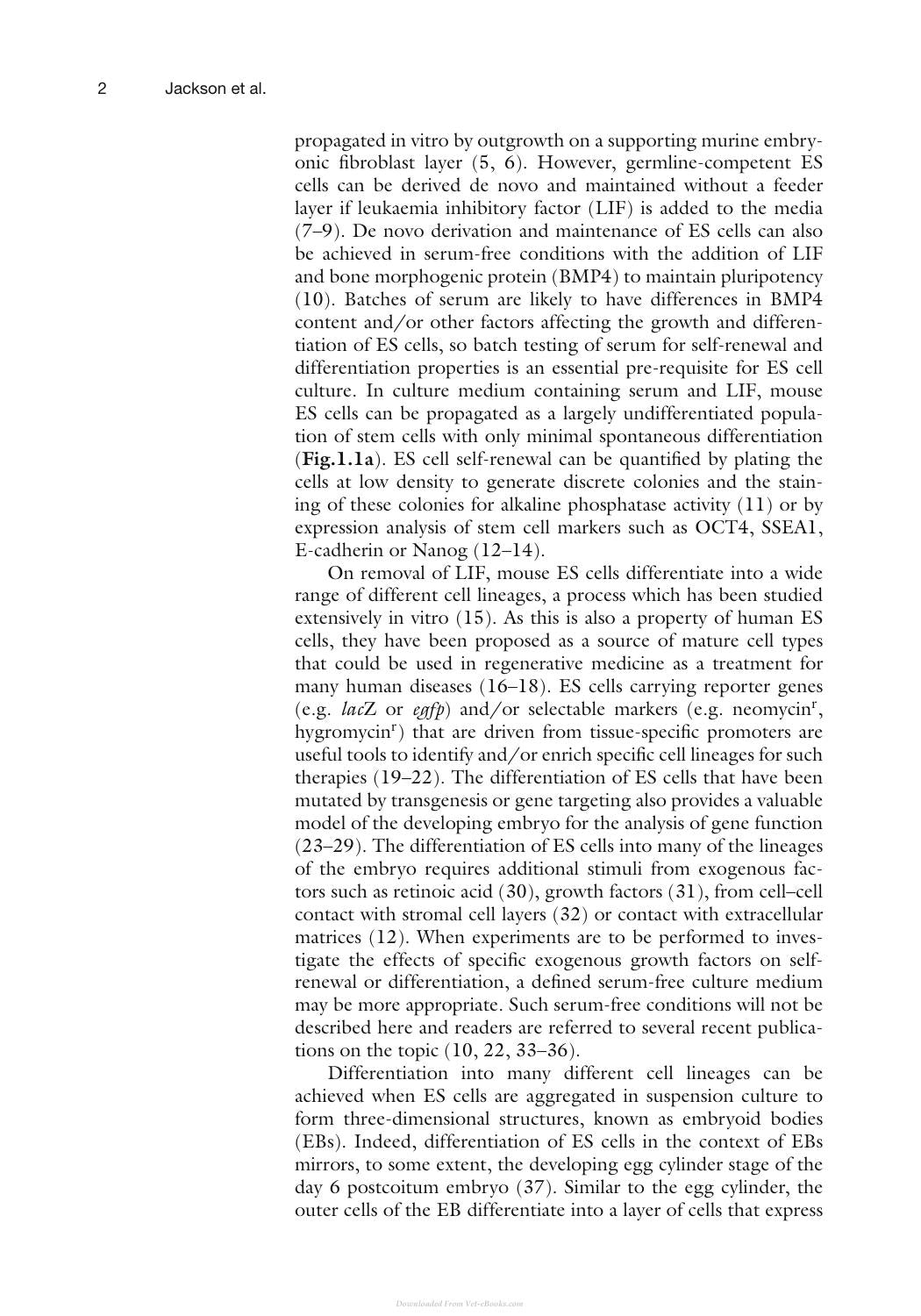 Mouse Cell Culture Methods And Protocols