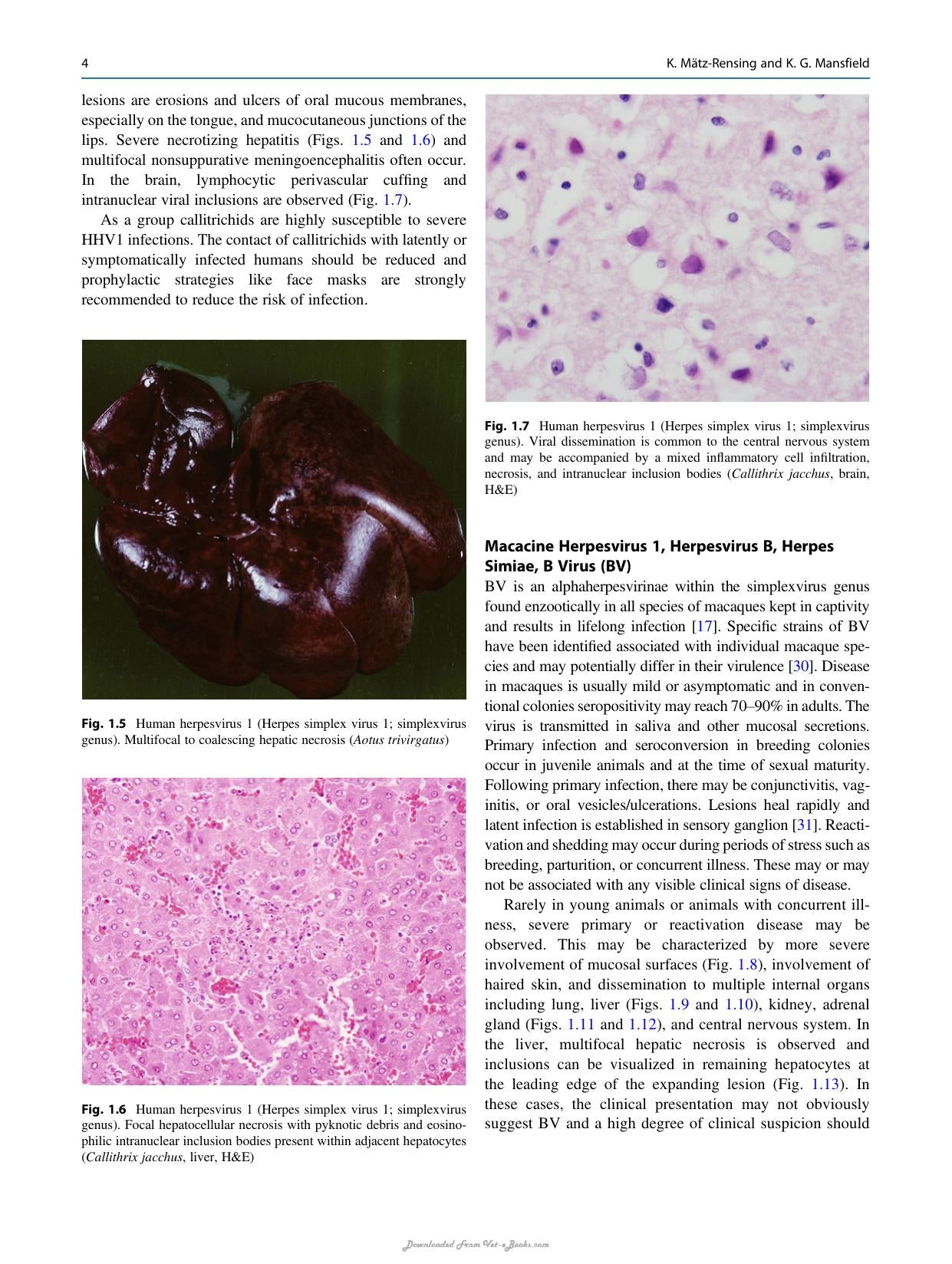 Atlas Of Diagnostic Pathology In Nonhuman Primates