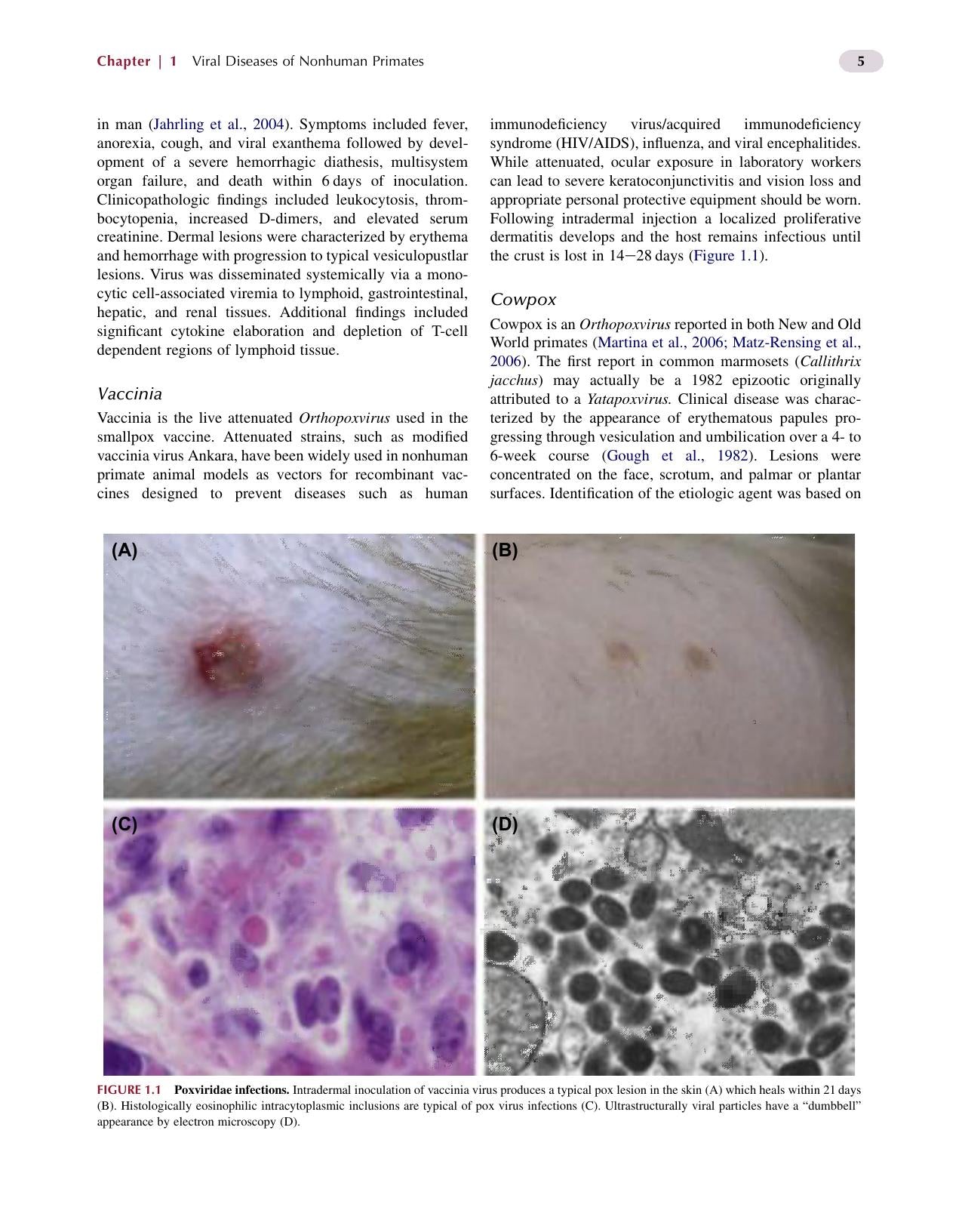 Nonhuman Primates In Biomedical Research Volume 2 Diseases 2Nd Edition