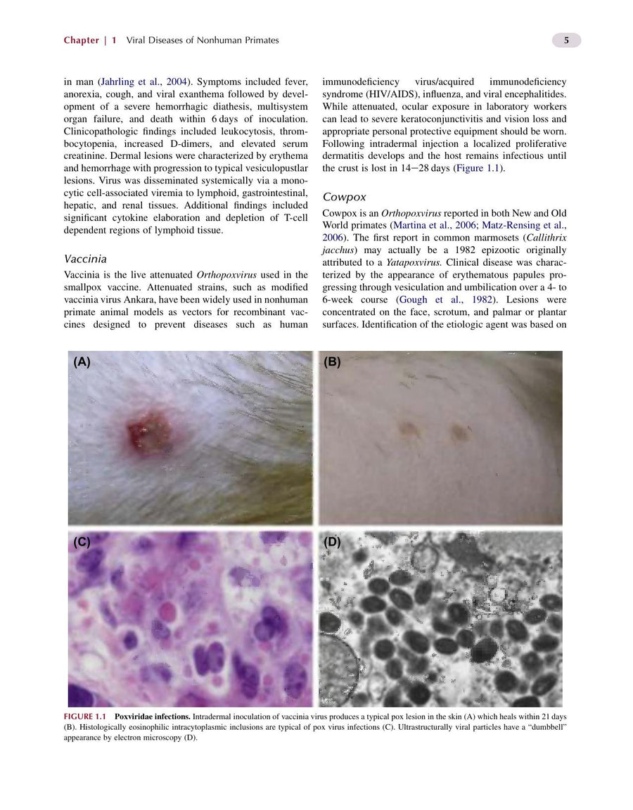 Preview page of Nonhuman Primates in Biomedical Research Volume 2 Diseases 2nd Edition