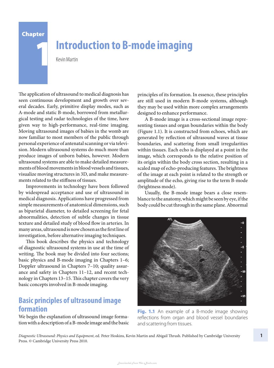 Diagnostic Ultrasound Physics And Equipment 2Nd Edition
