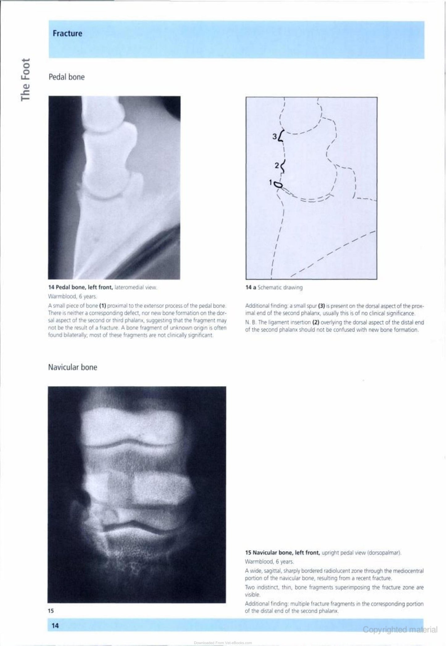 Look inside — page 14