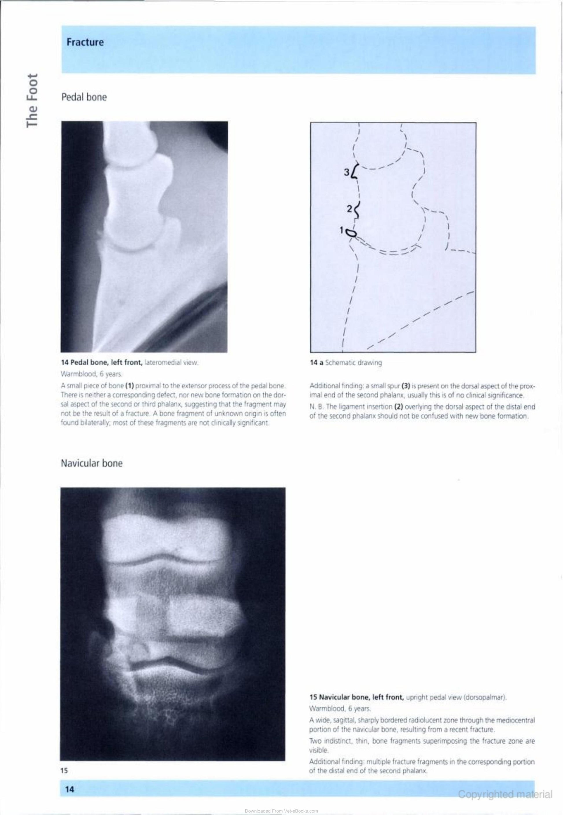Look inside — page 14