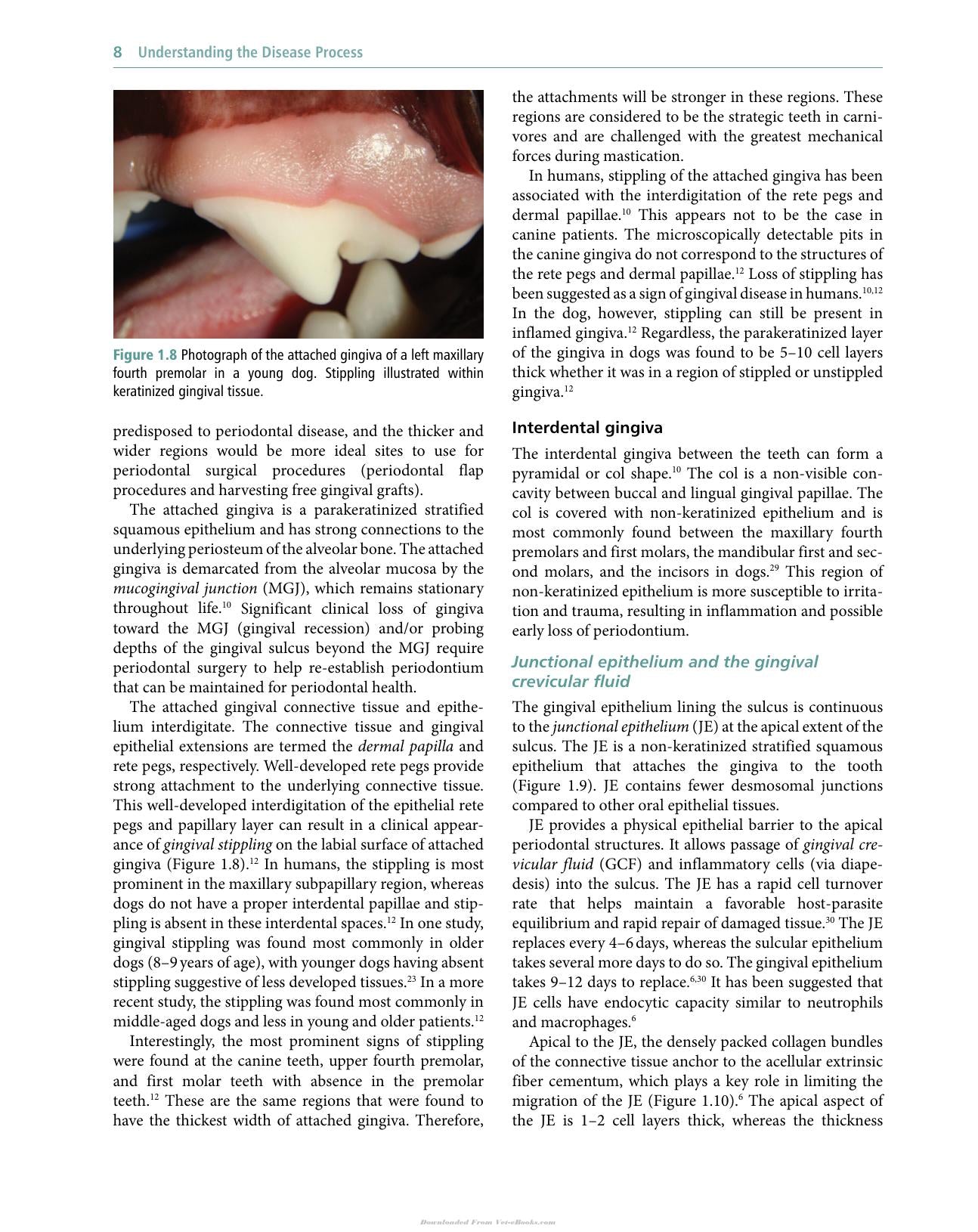 Veterinary Periodontology