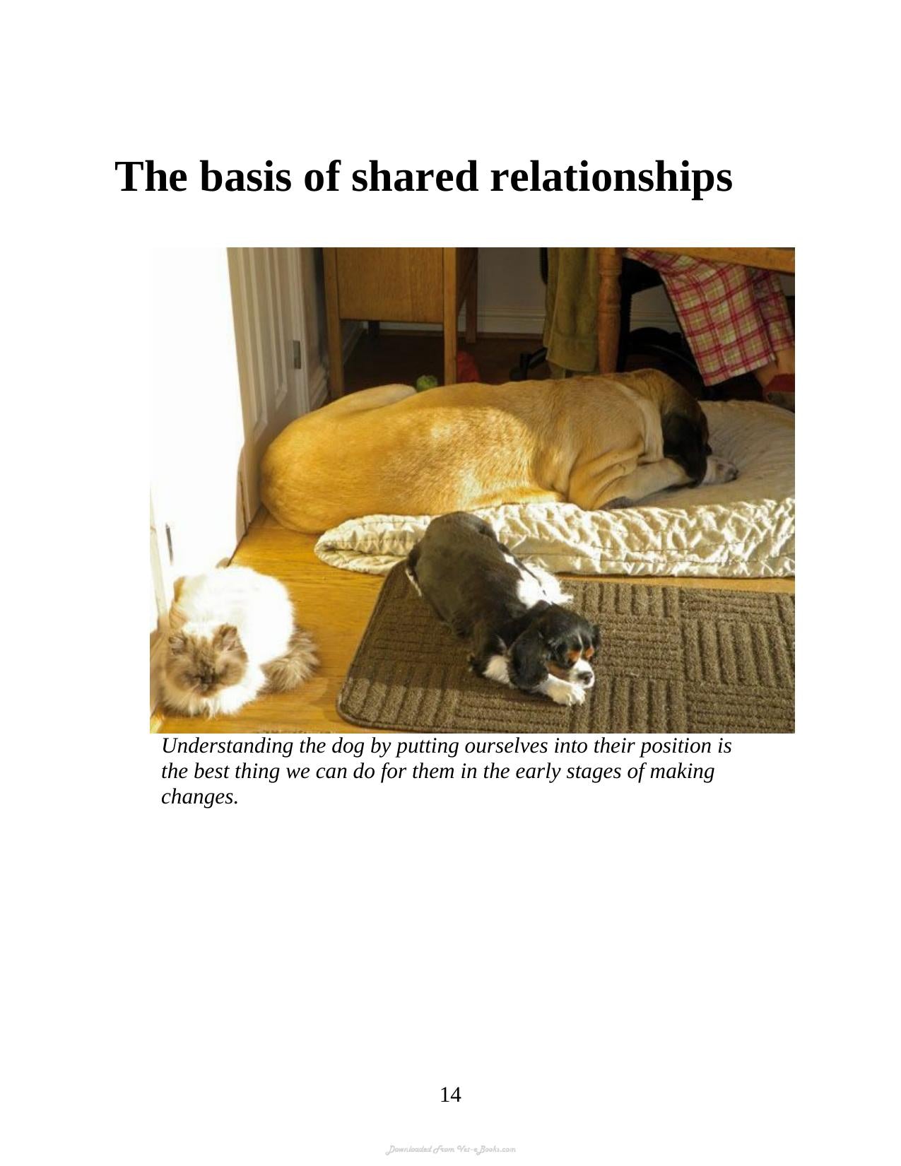 Understanding The Silent Communication Of Dogs