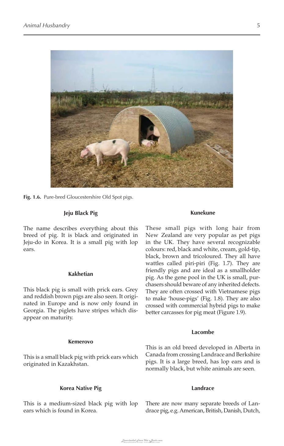 Look inside — page 14