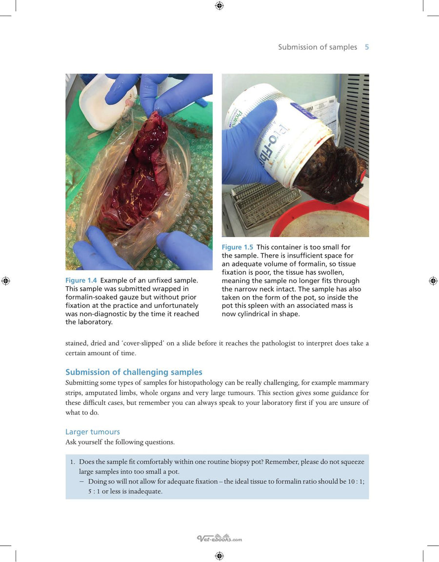 Preview page of Anatomic Pathology for Veterinary Clinicians