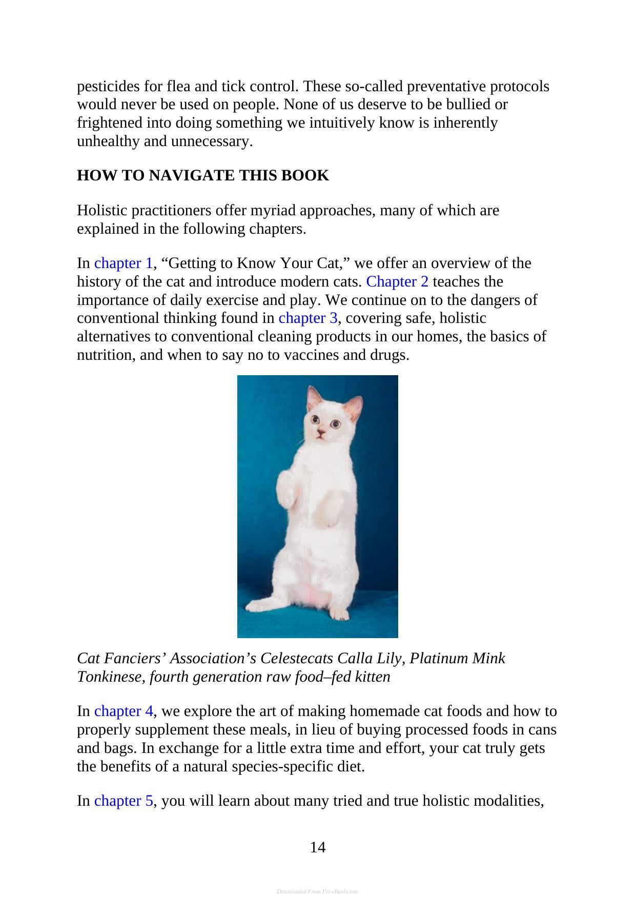 The Complete Guide To Holistic Cat Care An Illustrated Handbook
