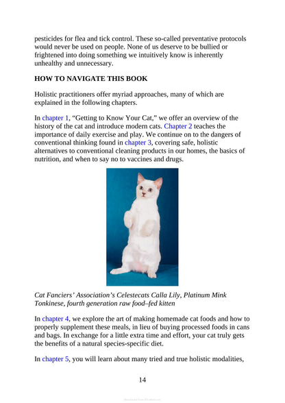 The Complete Guide to Holistic Cat Care an Illustrated Handbook