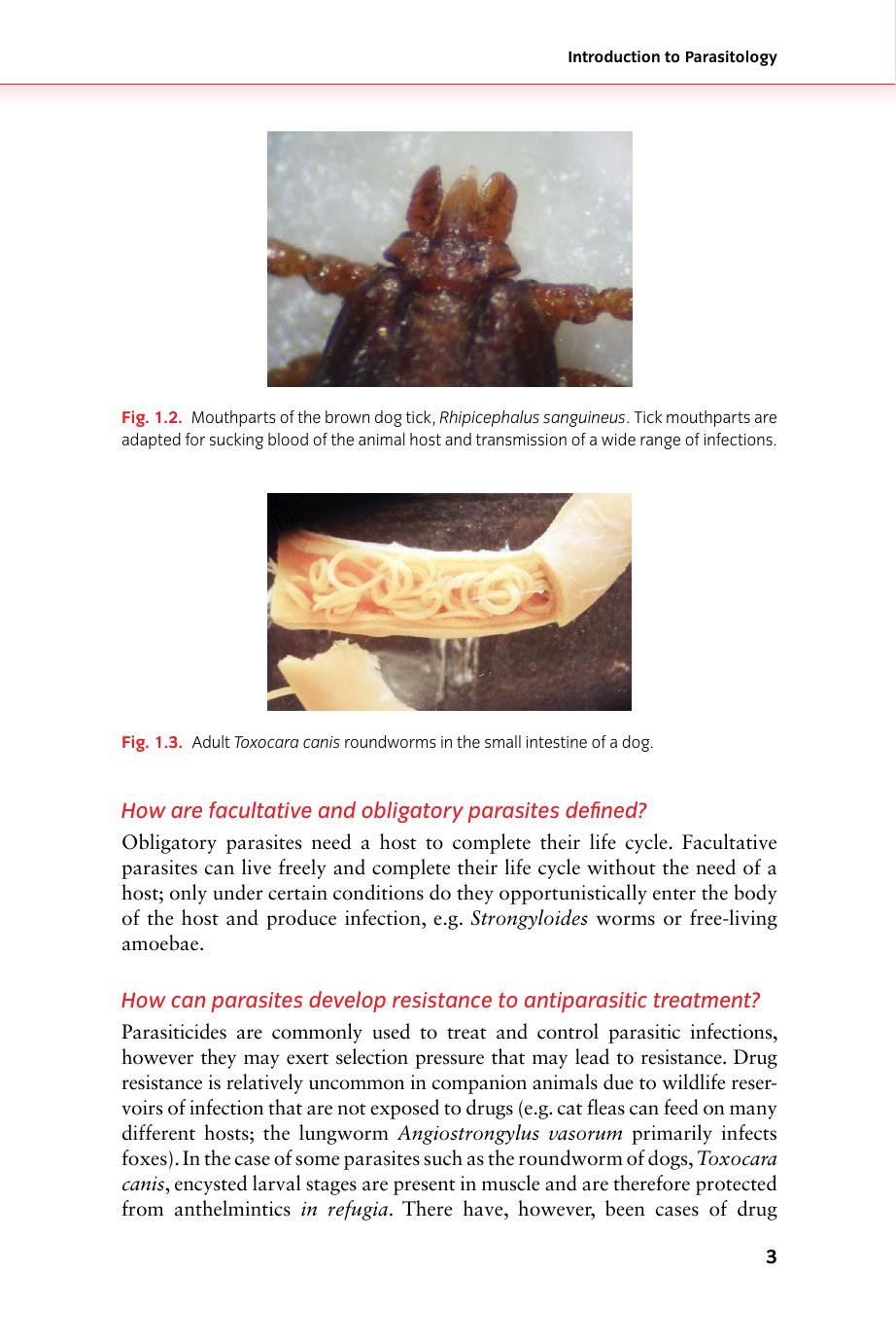 Parasites And Pets A Veterinary Nursing Guide