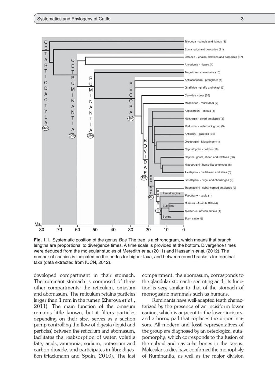 Preview page of The Genetics of Cattle 2nd Edition