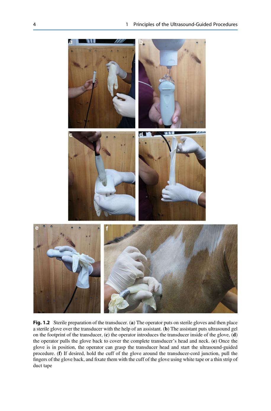 Look inside — page 14