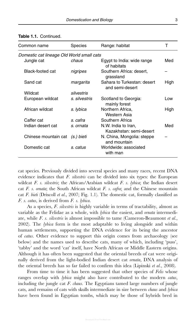 Behaviour Of The Domestic Cat 2Nd Edition