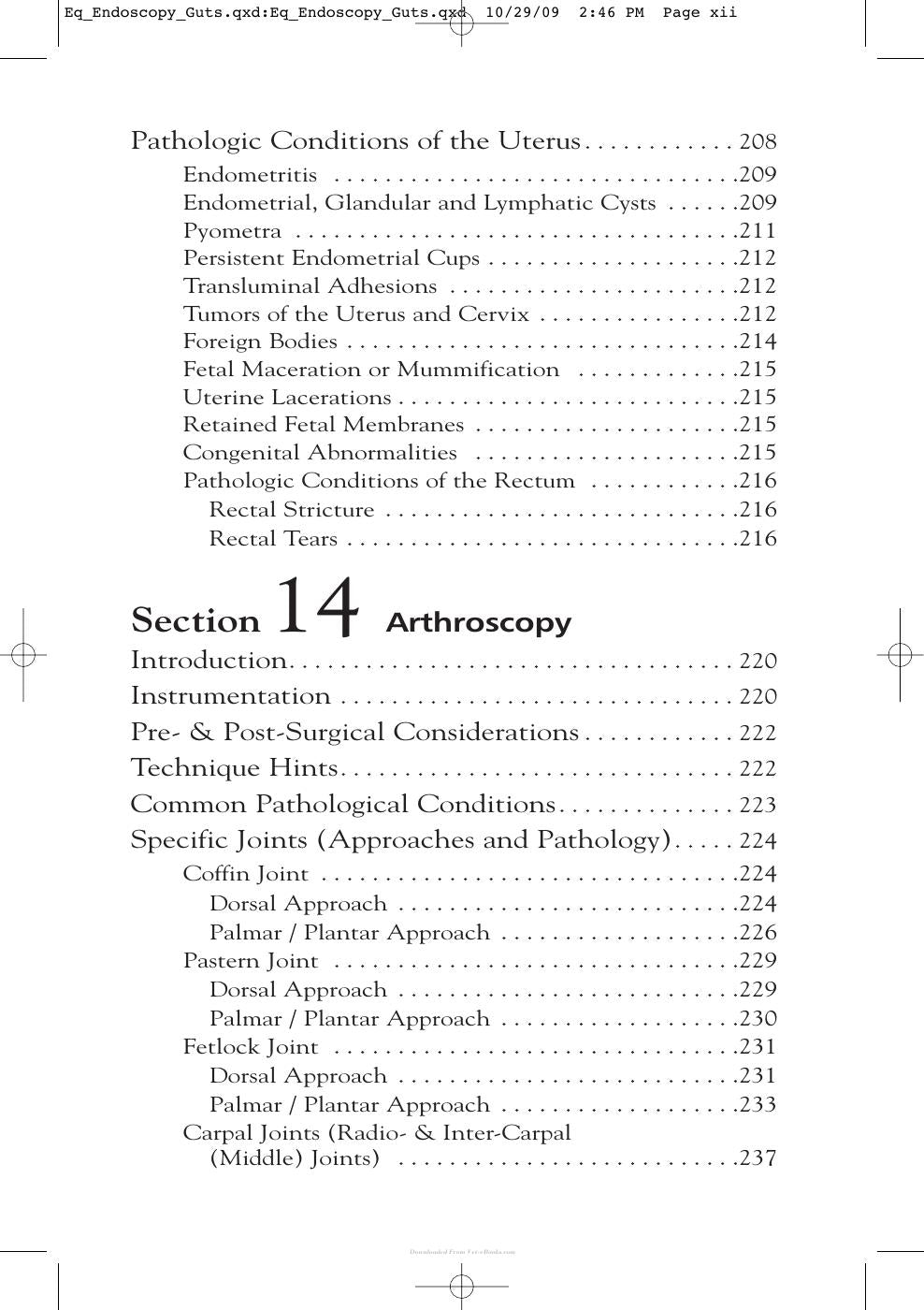 Equine Endoscopy And Arthroscopy For The Equine Practitioner
