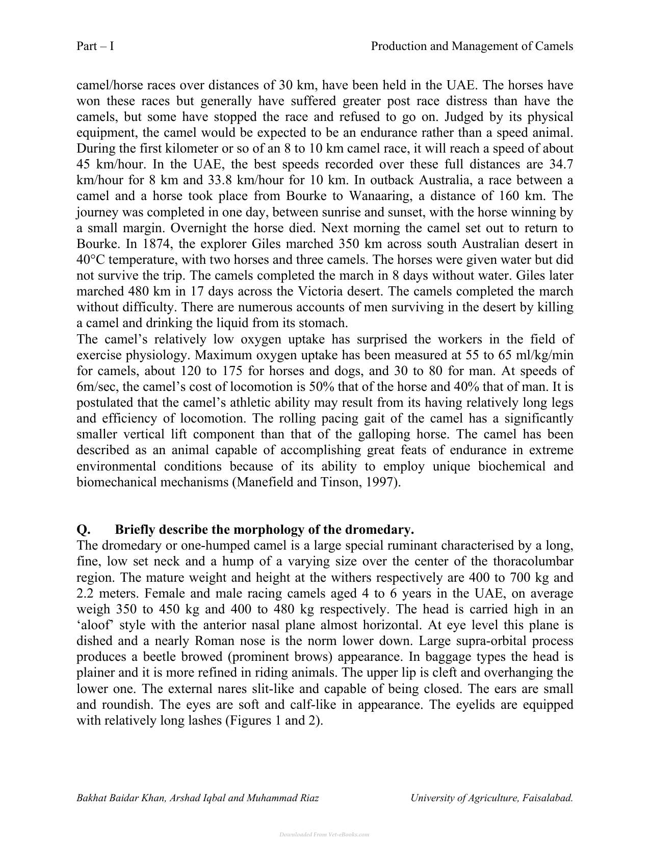 Production And Management Of Camels