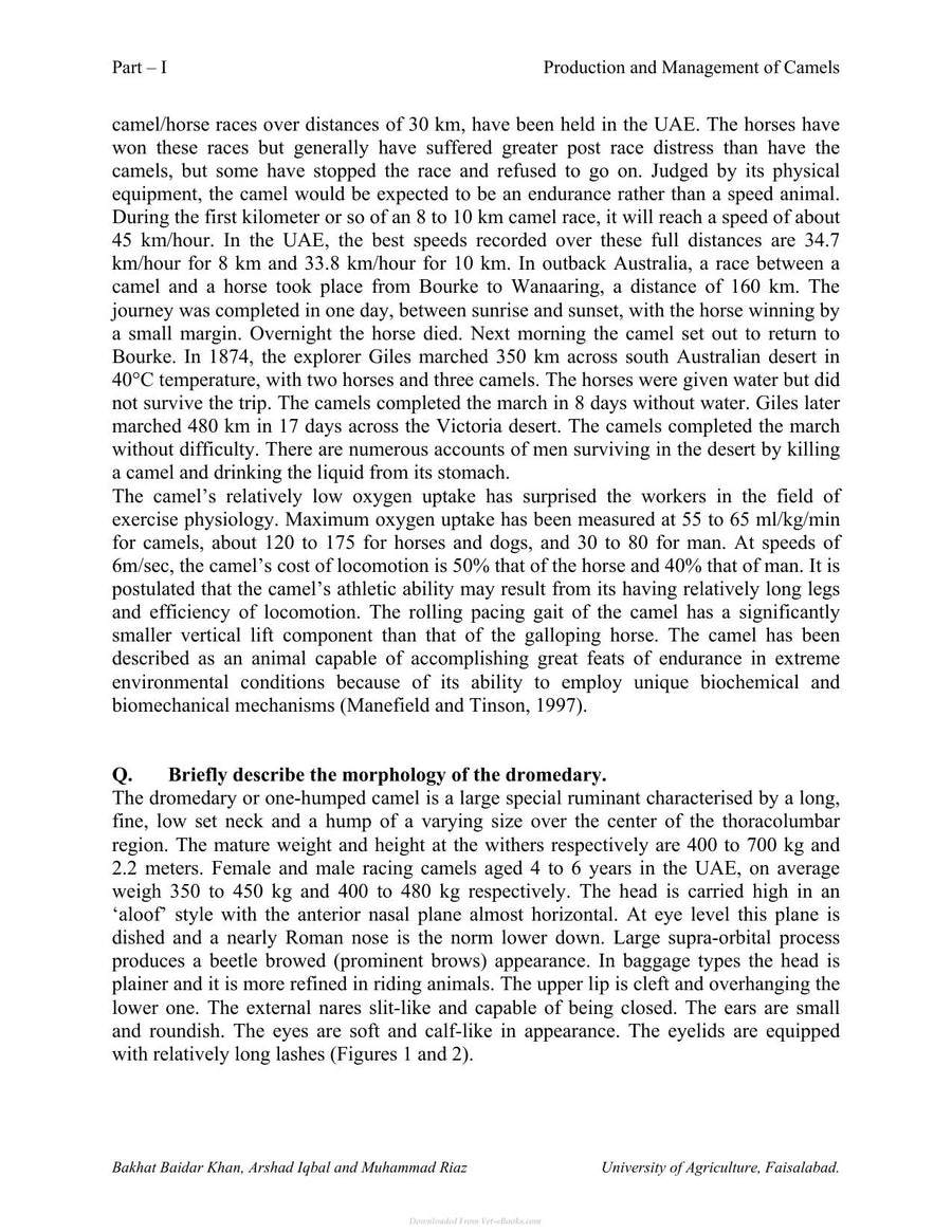 Preview page of Production and Management of Camels