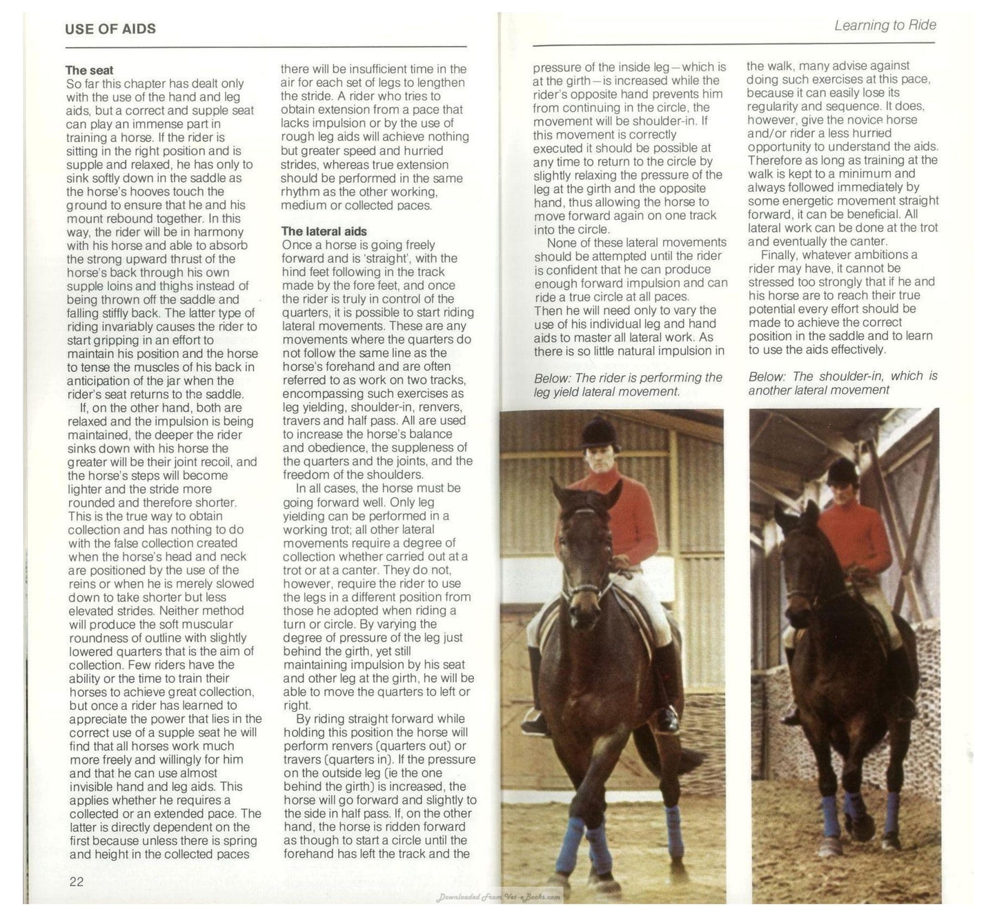 Young Riders Guide To Horse And Pony Care