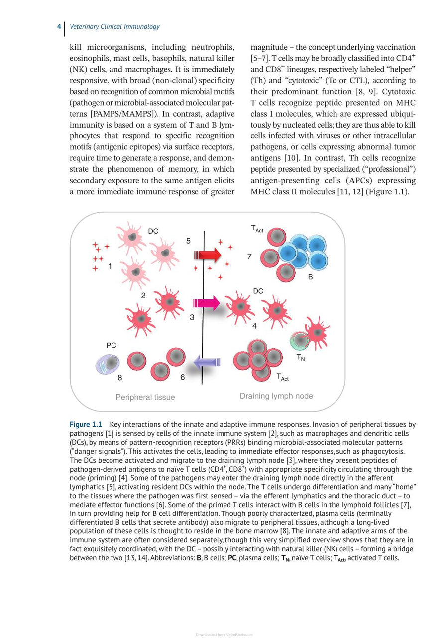Preview page of Veterinary Clinical Immunology