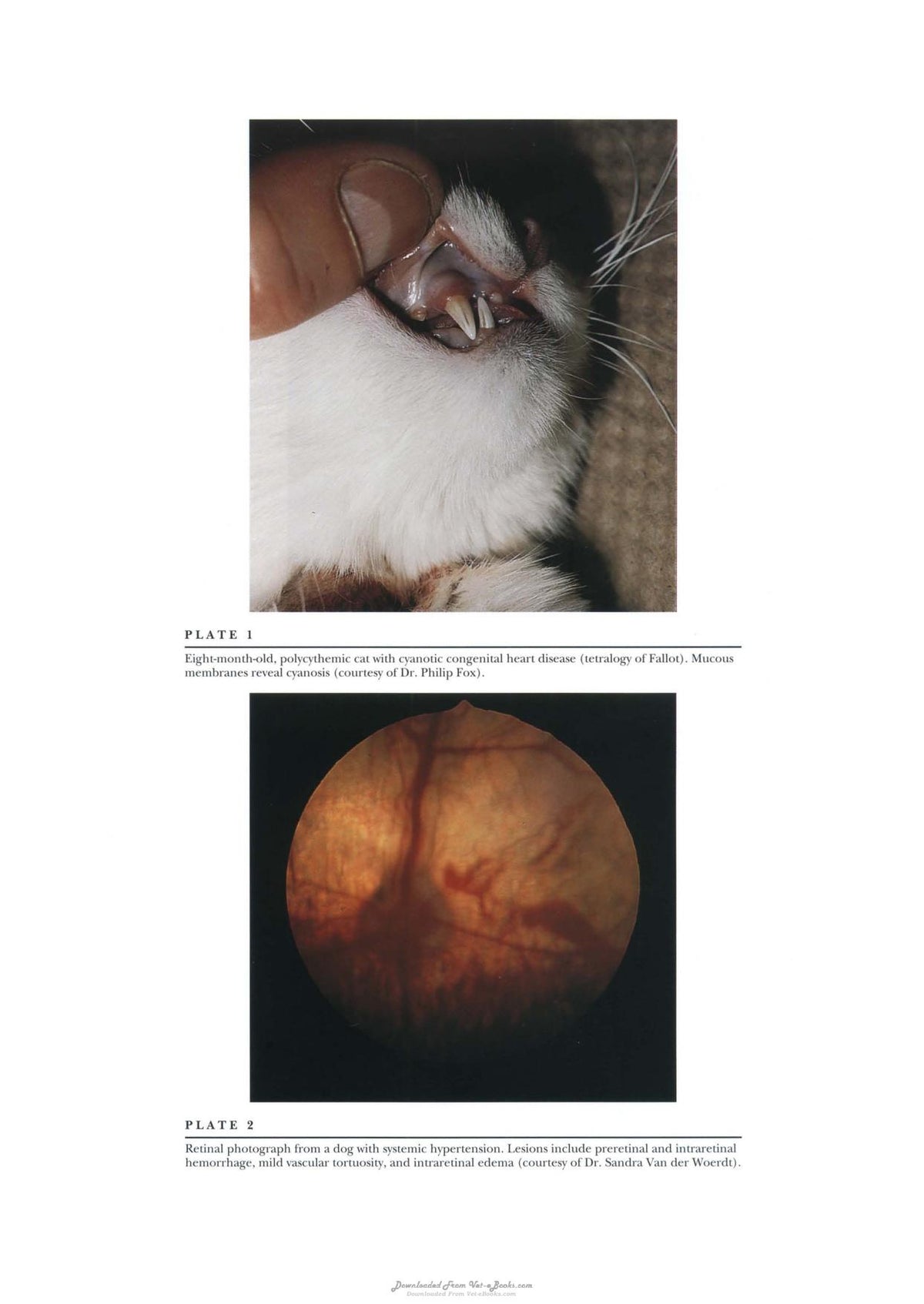 Look inside — page 14