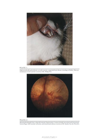 Look inside — page 14