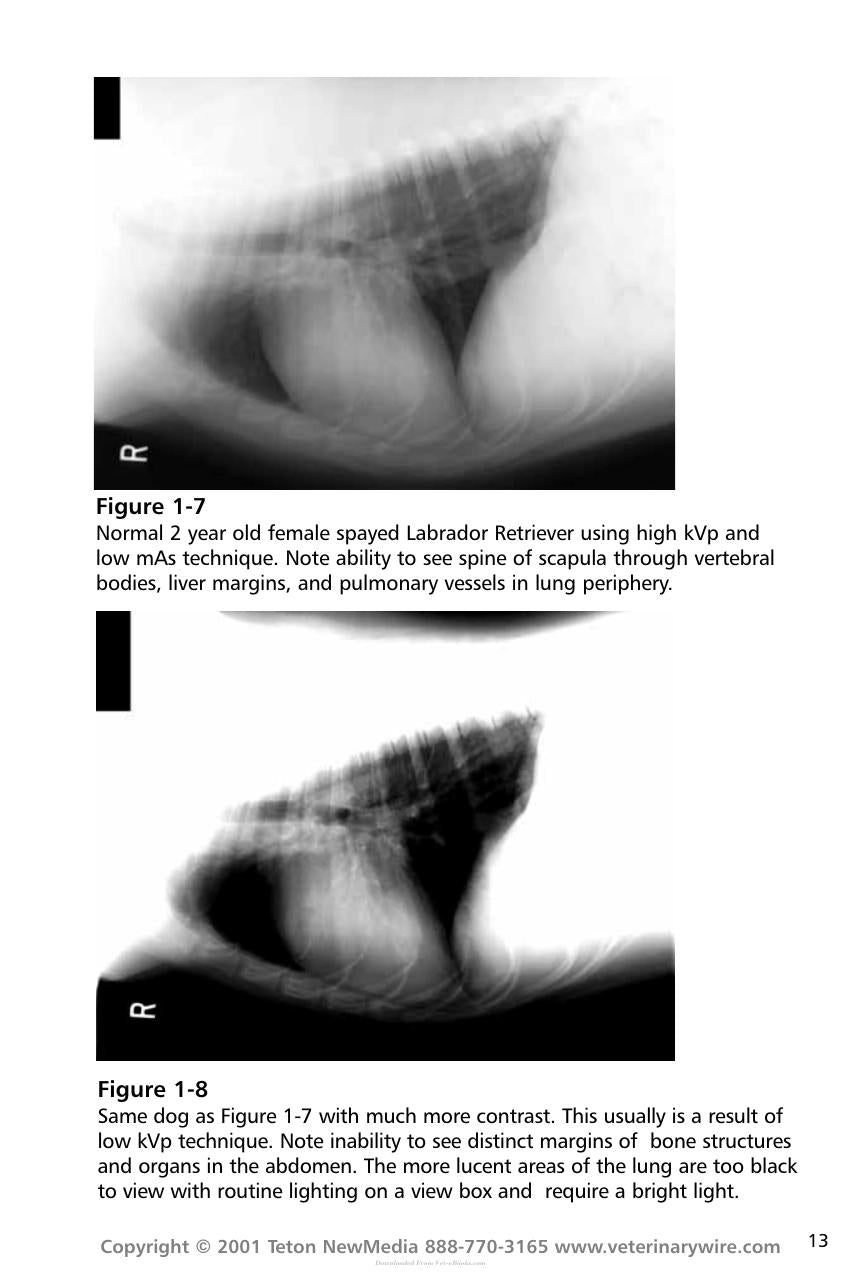 Thoracic Radiology For The Small Animal Practitioner