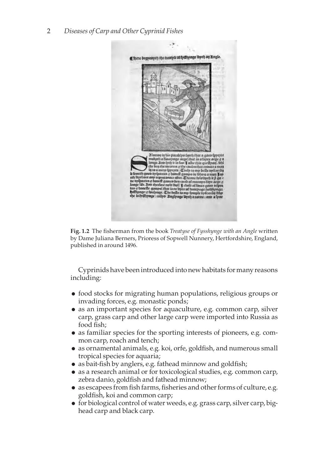 Diseases Of Carp And Other Cyprinid Fishes