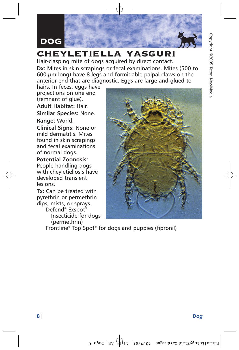 Parasitology Diagnosis And Treatment Of Common Parasitisms In Dogs And Cats