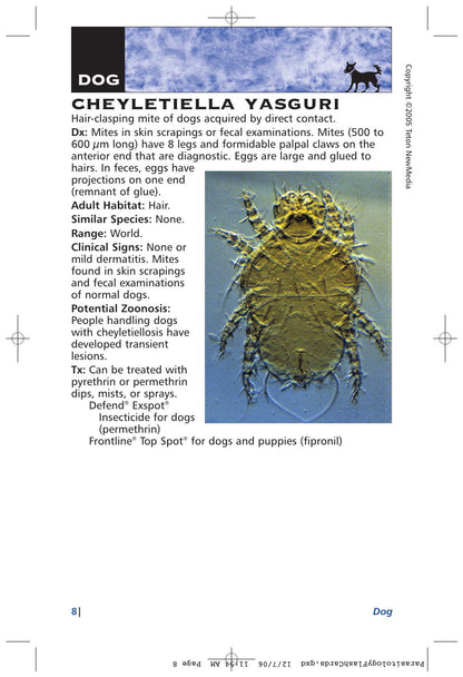 Parasitology Diagnosis and Treatment of Common Parasitisms in Dogs and Cats