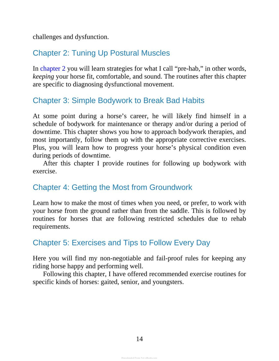 Preview page of 55 Corrective Exercises for Horses Resolving Postural Problems Improving Movement Patterns and Preventing Injury