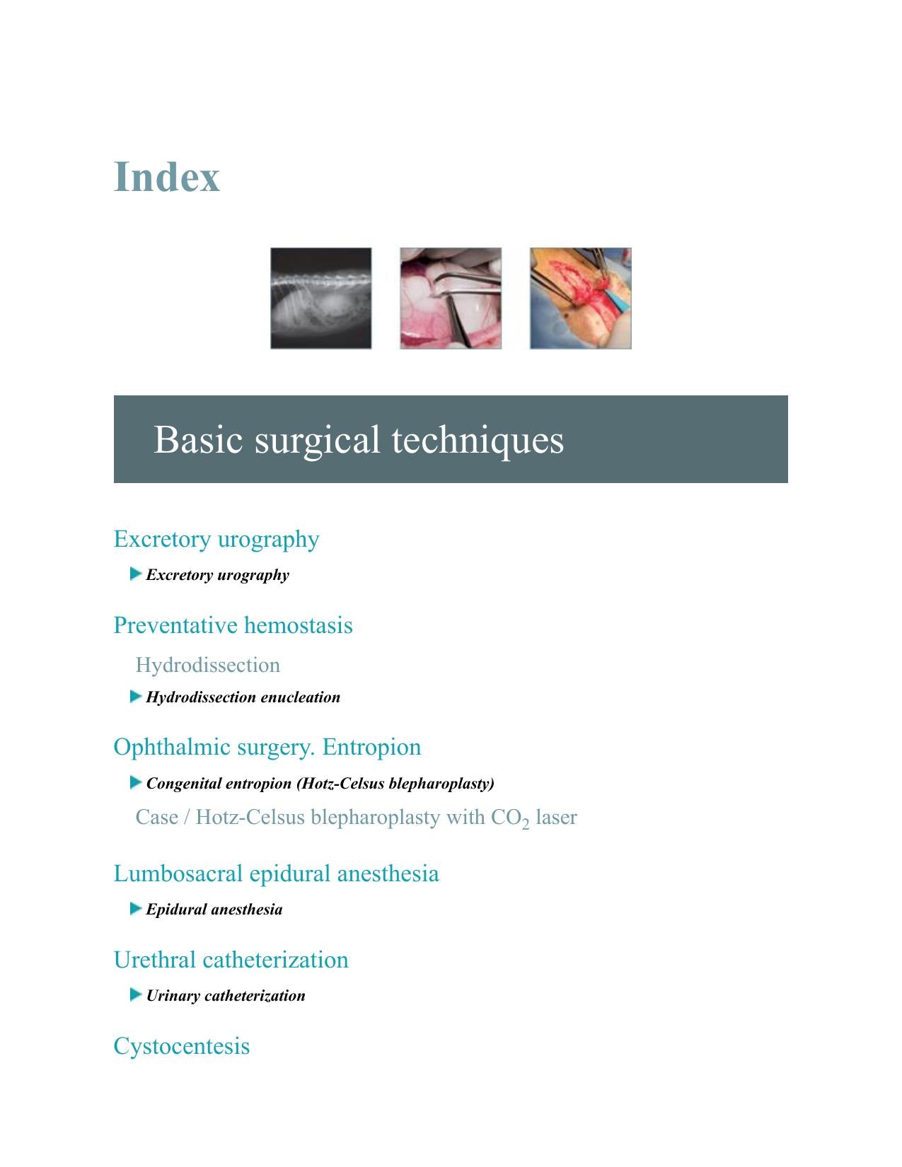 Small Animal Surgery A Step By Step Guide Surgical Technique