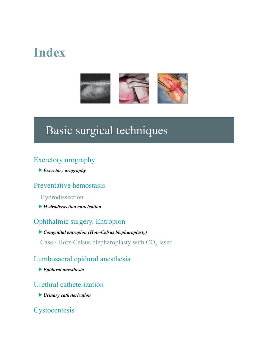 Preview page of Small Animal Surgery a Step by Step Guide Surgical Technique