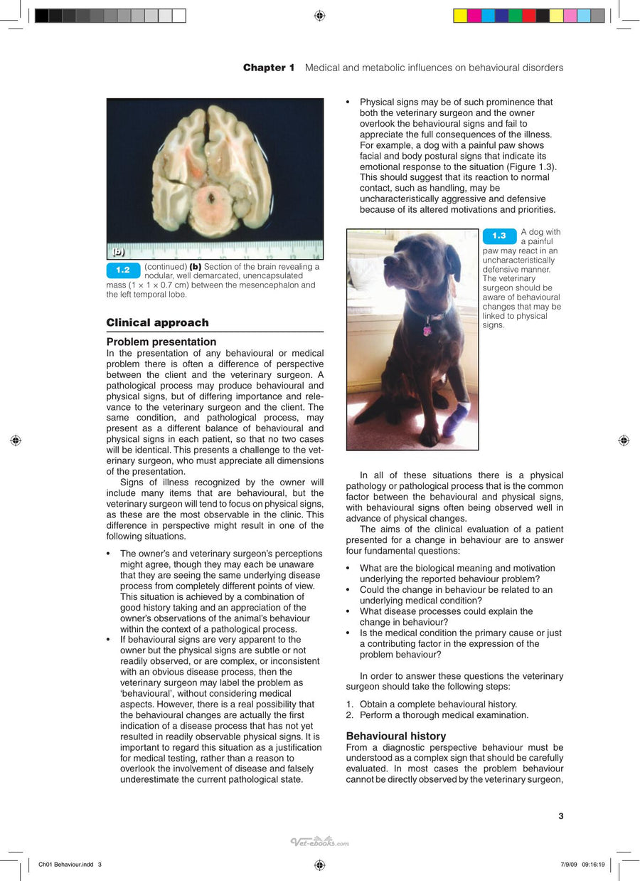 Preview page of Bsava Manual of Canine and Feline Behavioural Medicine 2nd Edition