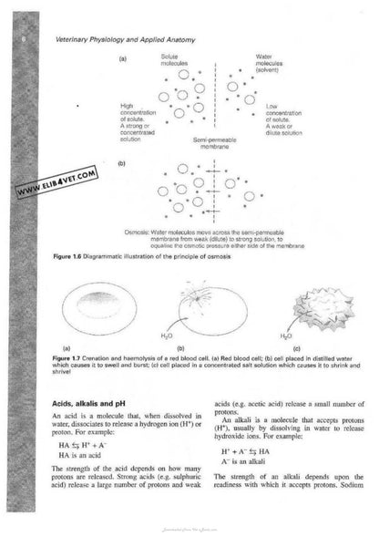 Veterinary Physiology and Applied Anatomy a Textbook for Veterinary Nurses and Technicians