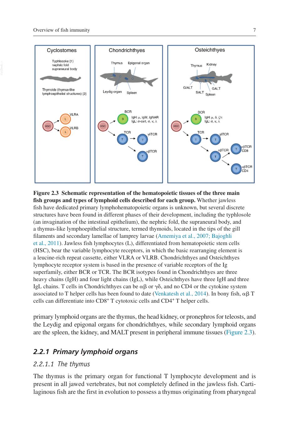 Mucosal Health In Aquaculture
