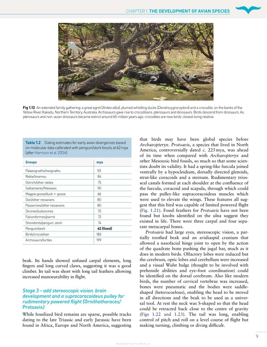Preview page of Handbook of Avian Medicine 2nd Edition