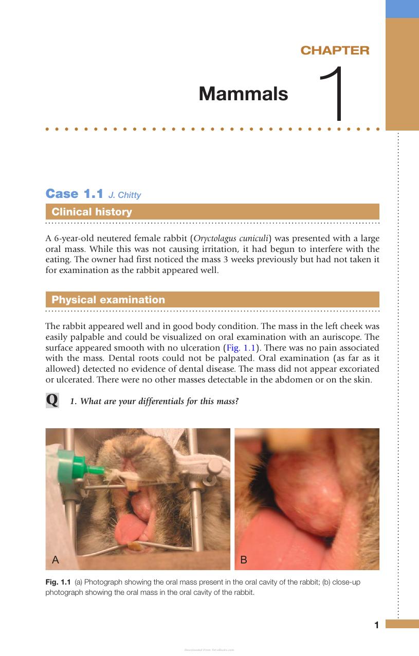 Exotic Animal Medicine Review And Test