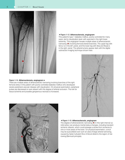 Look inside — page 14