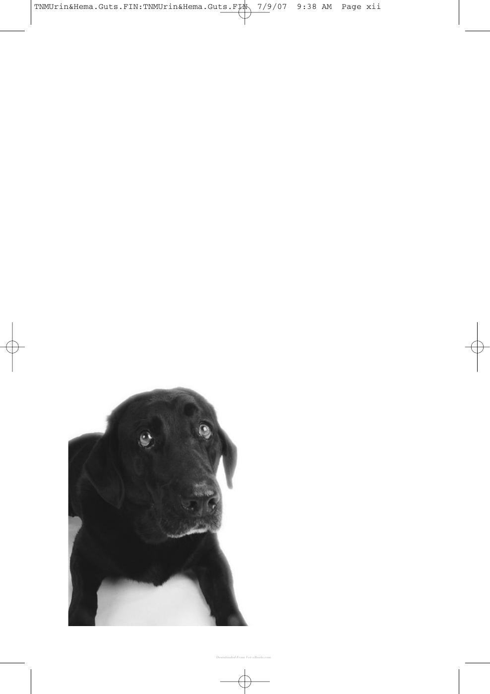 Laboratory Urinalysis And Hematology For The Small Animal Practitioner