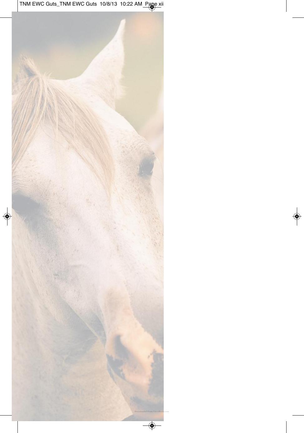 Wound Care Management For The Equine Practitioner