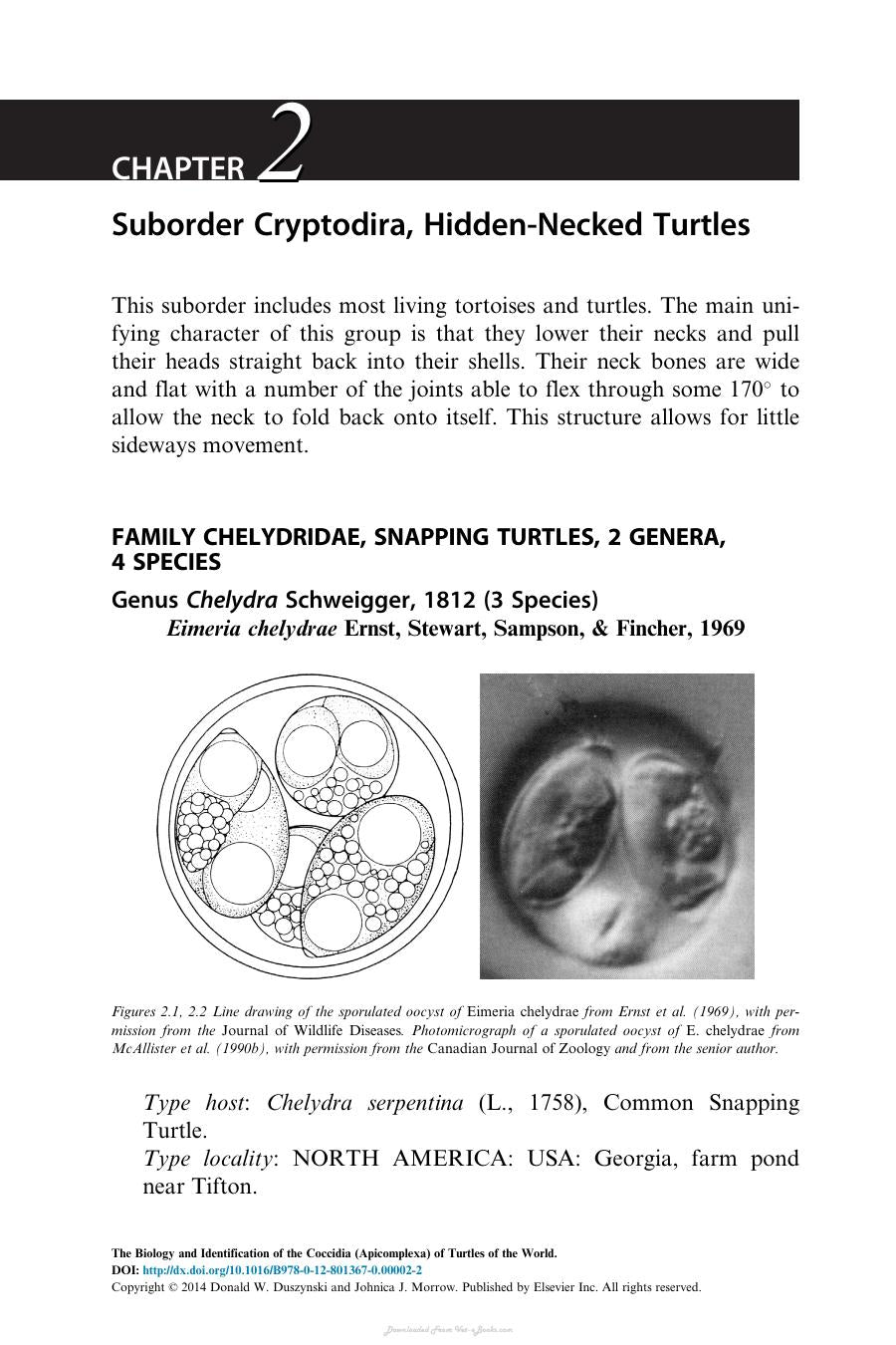The Biology And Identification Of The Coccidia Apicomplexa Of Turtles Of The World