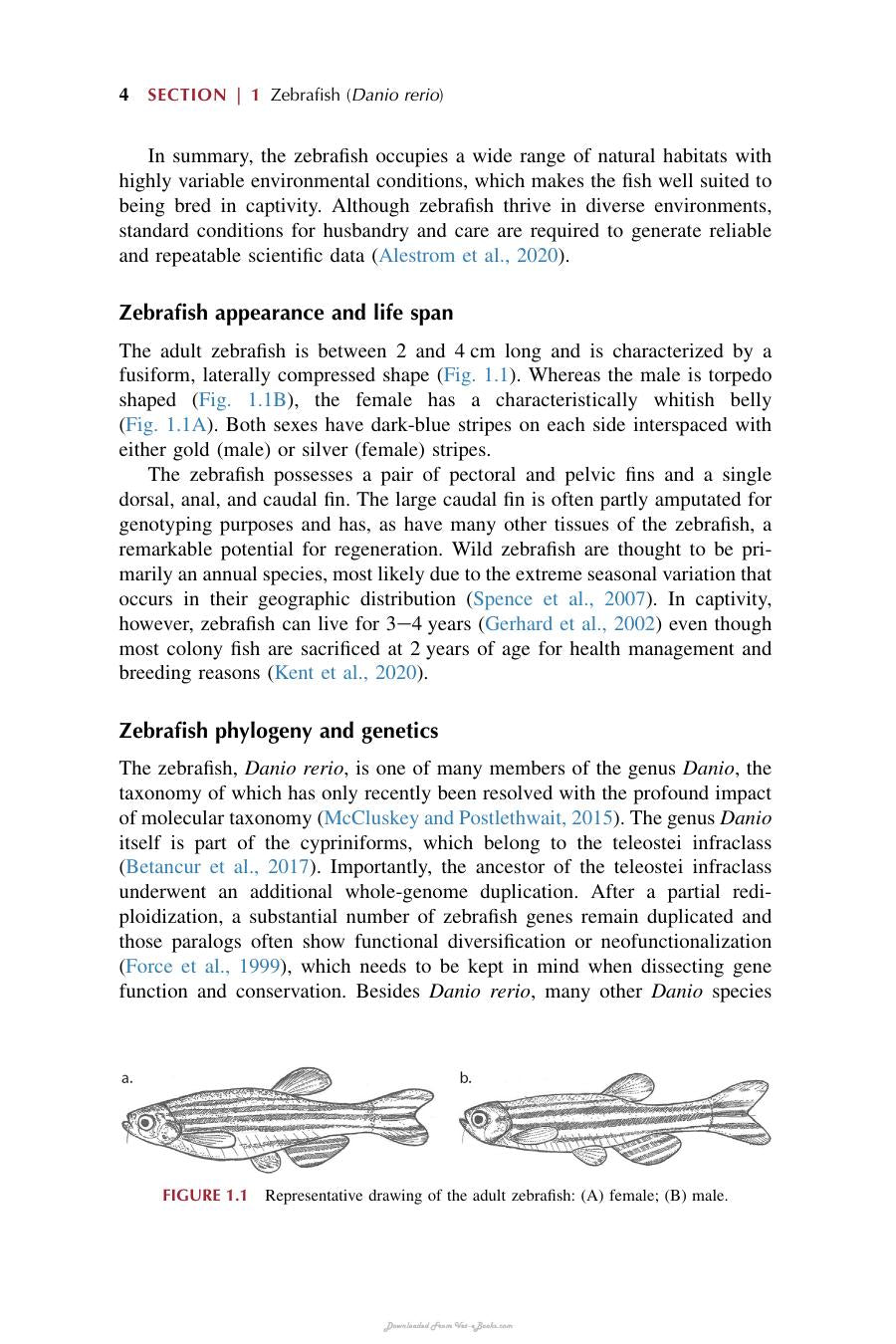 Laboratory Fish In Biomedical Research Biology Husbandry And Research Applications For Zebrafish