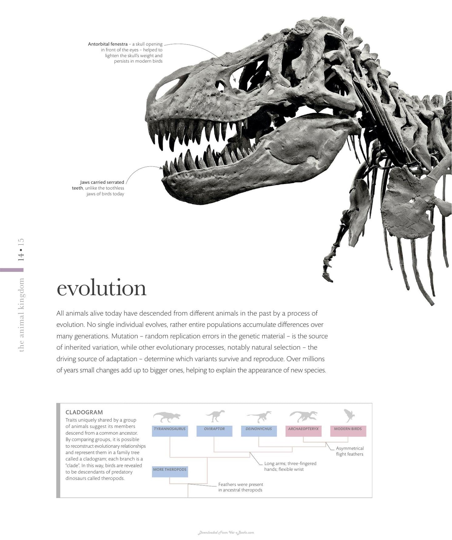 The Science Of Animals Inside Their Secret World